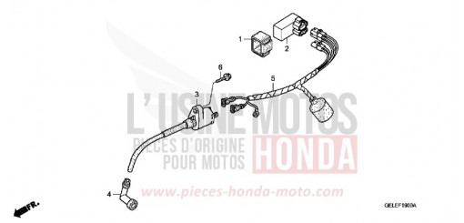 KABELBAUM CRF50F8 de 2008