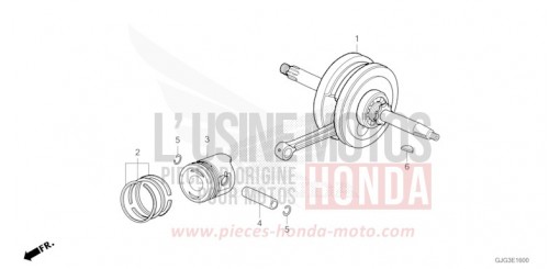 KURBELWELLE/KOLBEN CRF50FN de 2022