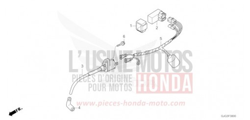 KABELBAUM CRF50FN de 2022