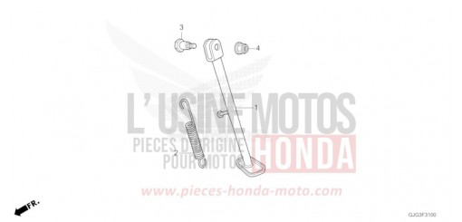 STAENDER CRF50FP de 2023