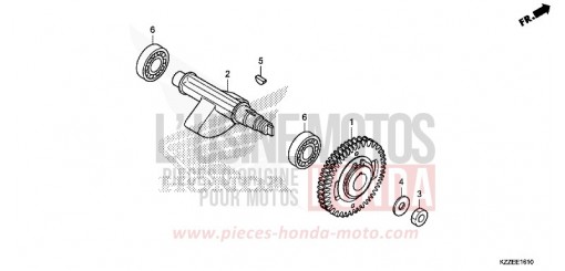 AUSGLEICHSWELLE CRF250RLAH de 2017