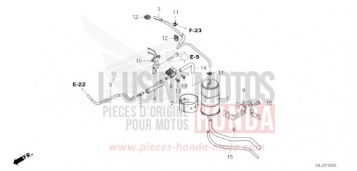 CUVETTE GL1800BDP de 2023