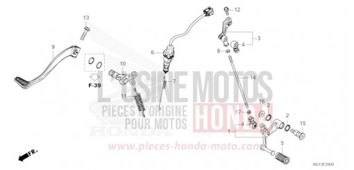 PEDAL NT1100AP de 2023