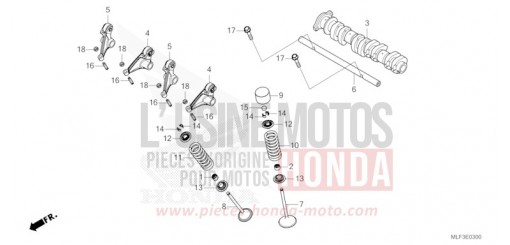 NOCKENWELLE/VENTIL NT1100DP de 2023