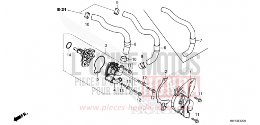 WASSERPUMPE CBR650RAM de 2021