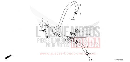 LUFTEINSPRITZ-STEUERVENTIL CBR650RAM de 2021