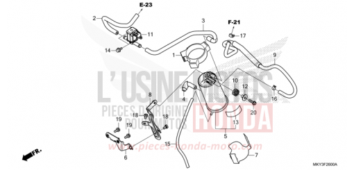 AKTIVKOHLEBEHAELTER CBR650RAM de 2021