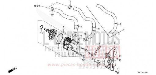 WASSERPUMPE CBR650RAM de 2021
