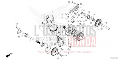 KURBELWELLE/KOLBEN CRF1100D4P de 2023