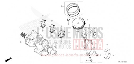 KURBELWELLE/KOLBEN XL750P de 2023