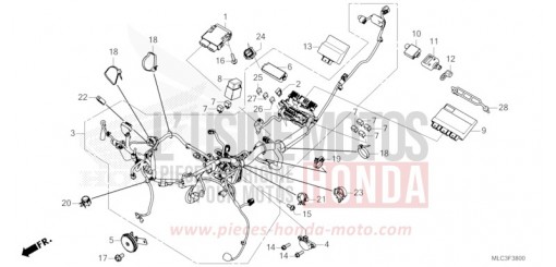 KABELBAUM XL750P de 2023