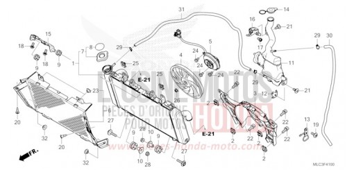 KUEHLER/RESERVETANK XL750P de 2023