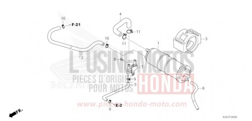AKTIVKOHLEBEHAELTER MSX125AN de 2022