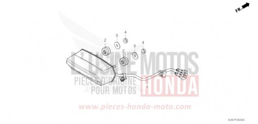 HECKLEUCHTE MSX125AP de 2023