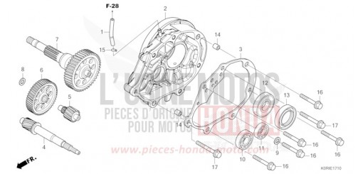 GETRIEBE SH125ADP de 2023
