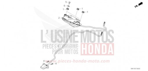 HECKLEUCHTE/KENNZEICHENBELEUCHTUNG CB650RAR de 2024