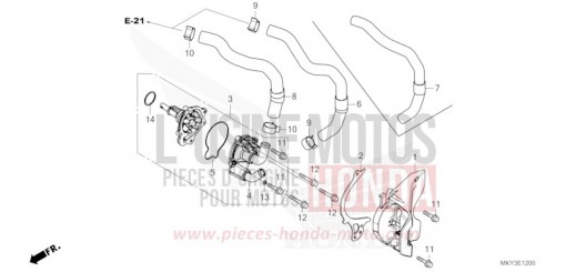 WASSERPUMPE CBR650RAP de 2023