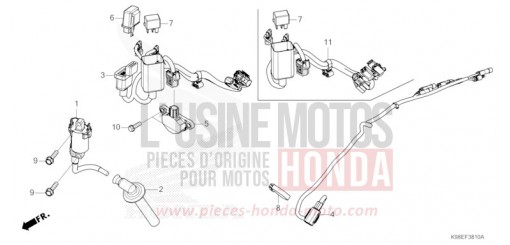 HILFSKABELBAUM CBF125NAR de 2024
