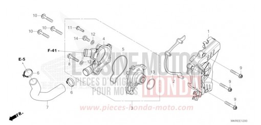 WASSERPUMPE CBR1000SPR de 2024