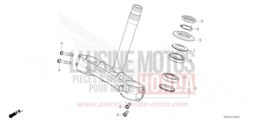 LENKSCHAFT CBR1000SPR de 2024