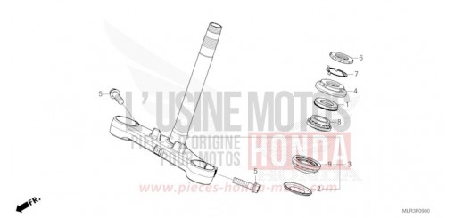 LENKSCHAFT CBR500RAR de 2024