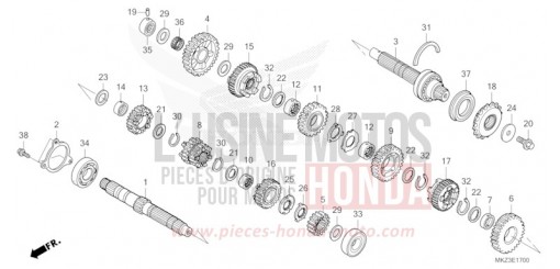 GETRIEBE CBR600R3R de 2024