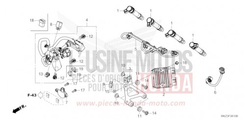 HILFSKABELBAUM/ZUENDSPULE CBR600R3R de 2024