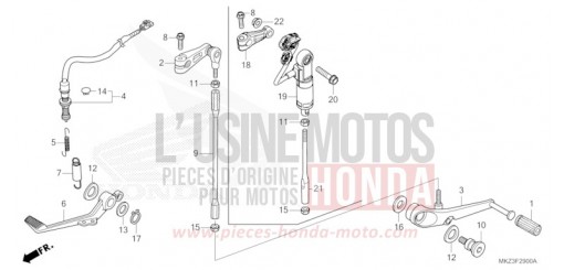 PEDAL CBR600R3R de 2024