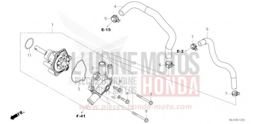 WASSERPUMPE CMX500A2R de 2024