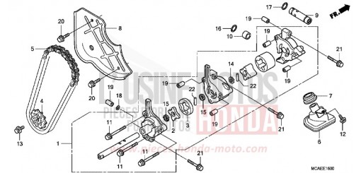 OELPUMPE GL18009 de 2009