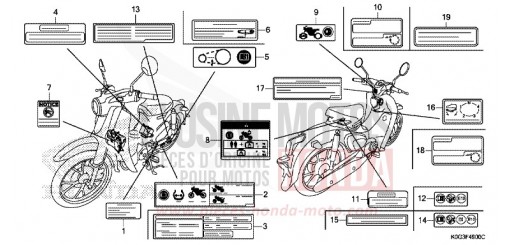 WARNETIKETT C125AK de 2019