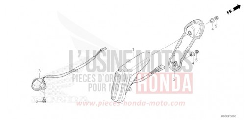 HECKLEUCHTE/KENNZEICHENBELEUCHTUNG C125AN de 2022