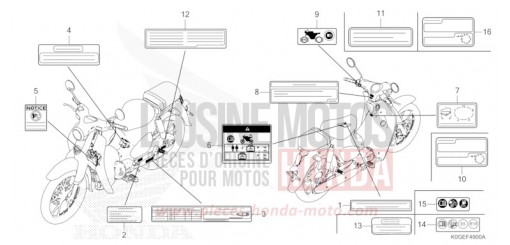 WARNETIKETT C125AN de 2022