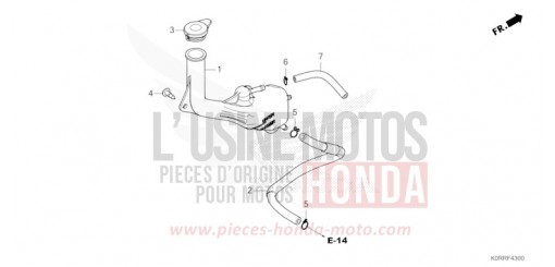 RESERVETANK SH125ADR de 2024
