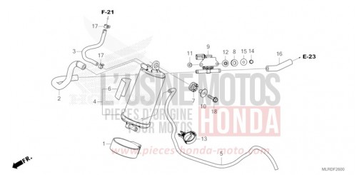AKTIVKOHLEBEHAELTER CB500XAR de 2025