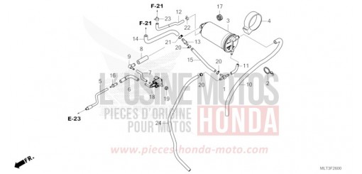 AKTIVKOHLEBEHAELTER CB1000GTT de 2026