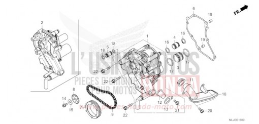 OELPUMPE GL1800BDR de 2024