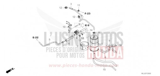 AKTIVKOHLEBEHAELTER GL1800BDR de 2024