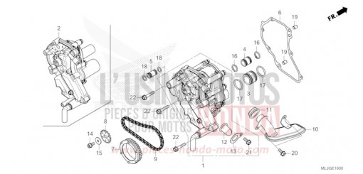 OELPUMPE GL1800BDT de 2026