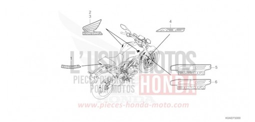 MARKE CBF300NAN de 2022