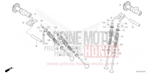 NOCKENWELLE/VENTIL CBF300NAN de 2022
