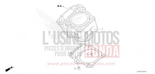 ZYLINDER CBF300NAN de 2022