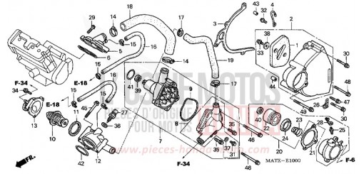 WASSERPUMPE CBR1100XX5 de 2005