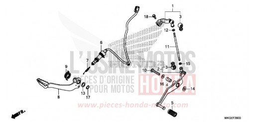 PEDAL CMX500AP de 2023