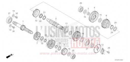 GETRIEBE CRF110FR de 2024