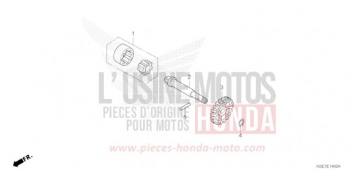 OELPUMPE CRF150RBS de 2025