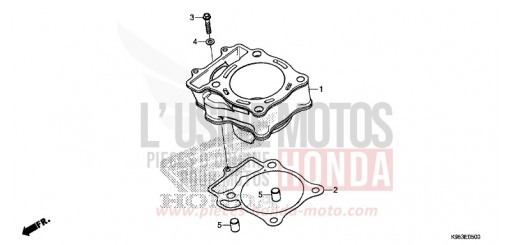 ZYLINDER CRF250RXK de 2019