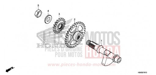 AUSGLEICHER CRF250RXK de 2019