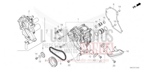 OELPUMPE GL1800DAN de 2022