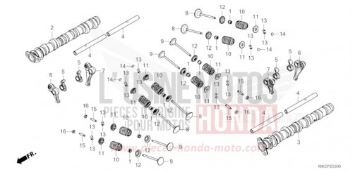 NOCKENWELLE/VENTIL GL1800DAN de 2022